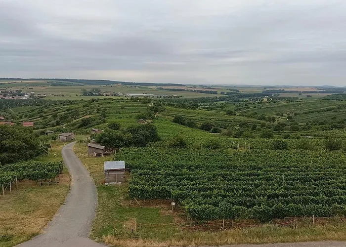 Sklipek Pod Vinohrady Mutenice - Rychla Wifi