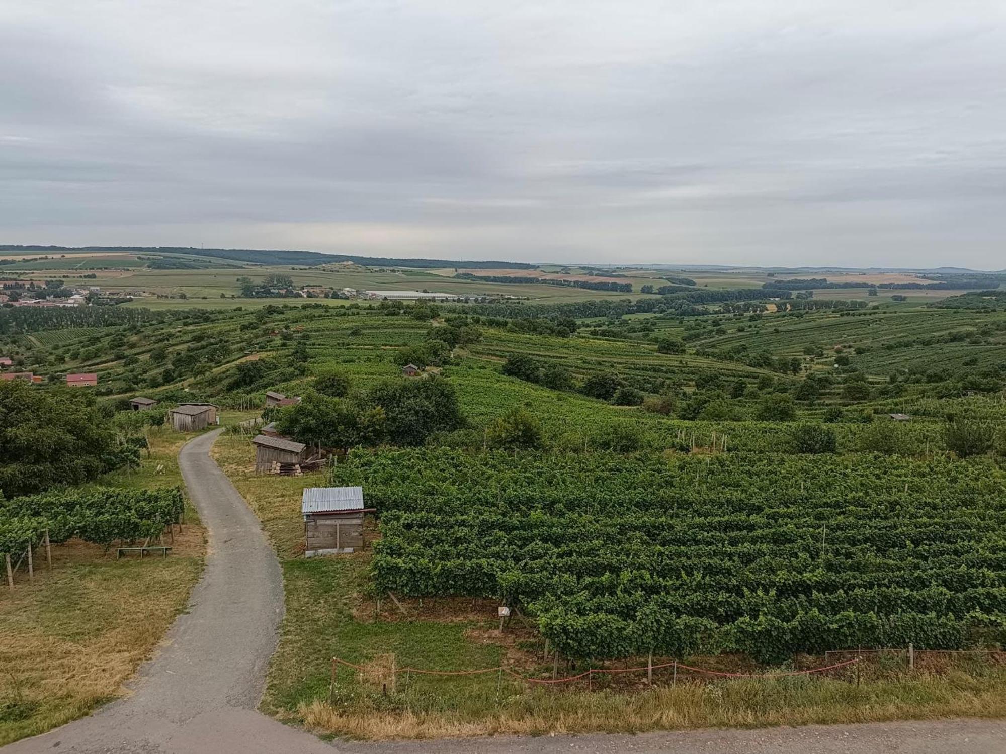 Sklipek Pod Vinohrady - Rychla Wifi * Mutenice